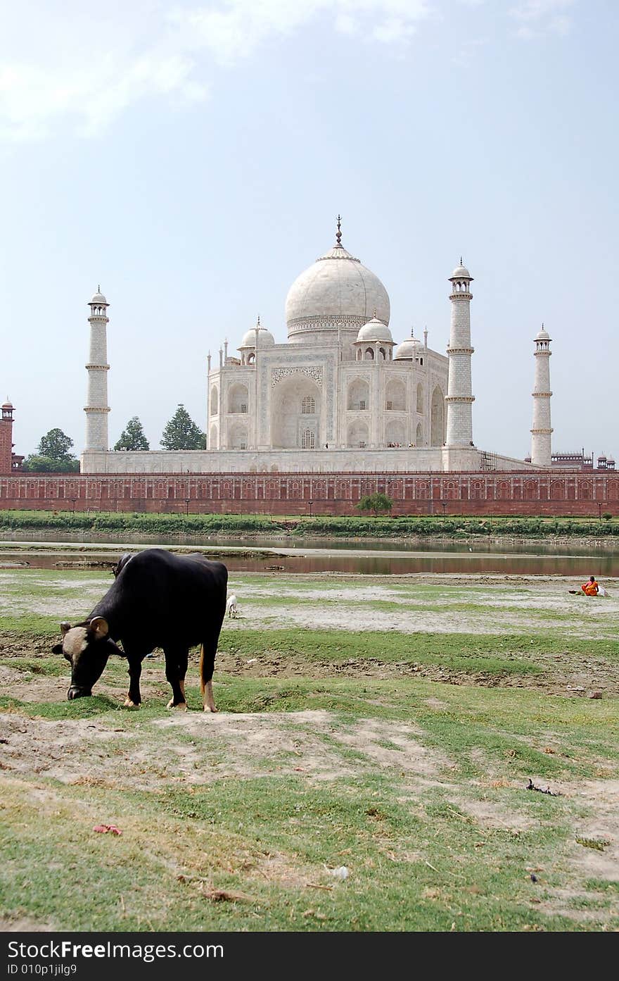 The Taj Mahal from behind on the dried riverbed