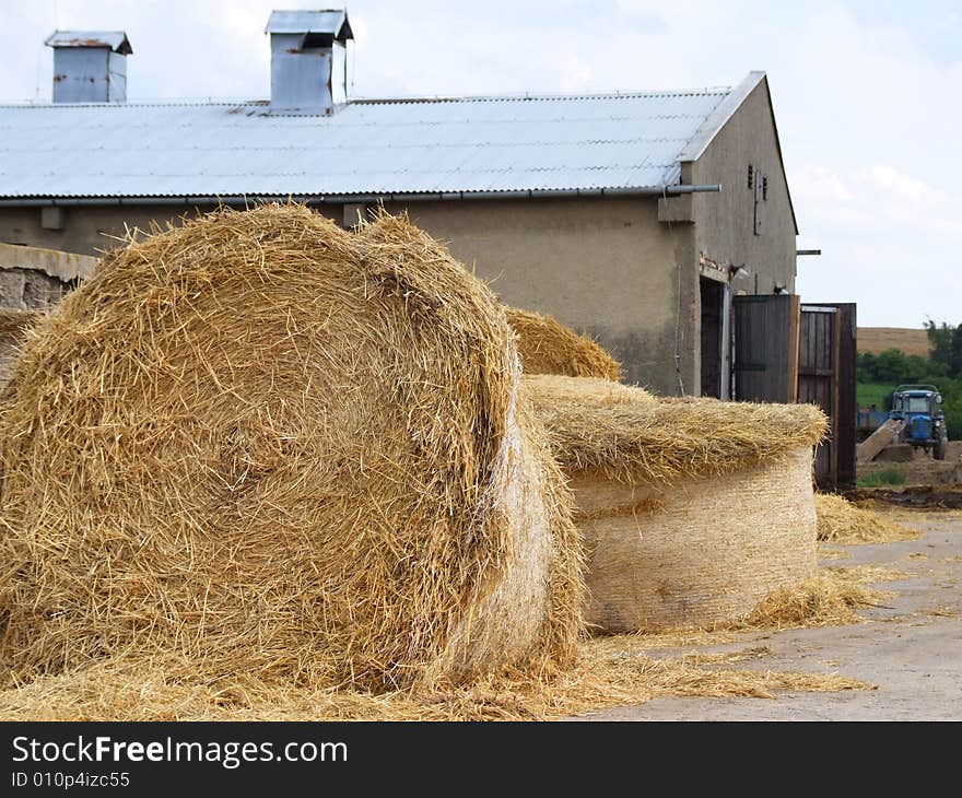 Hay preparation in villages after harvesting. Hay preparation in villages after harvesting