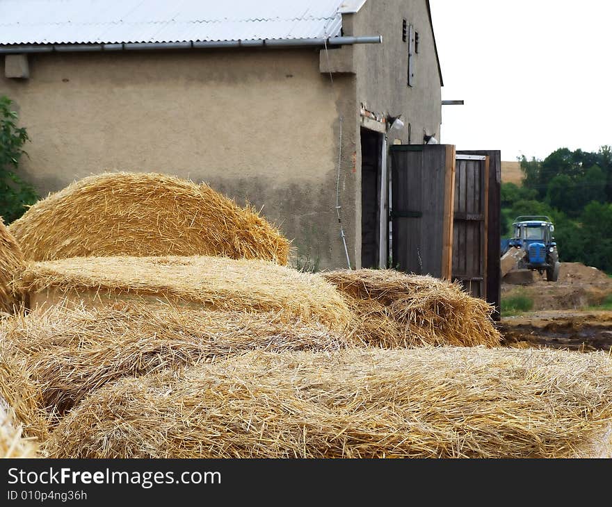 Hay preparation in villages after harvesting. Hay preparation in villages after harvesting