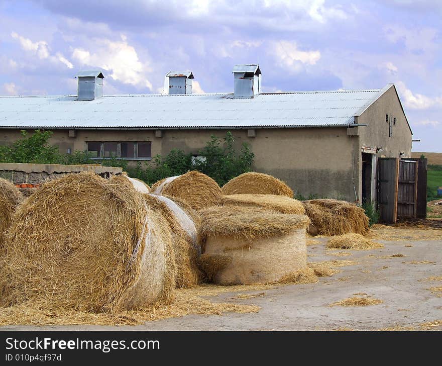 Hay preparation in villages after harvesting. Hay preparation in villages after harvesting