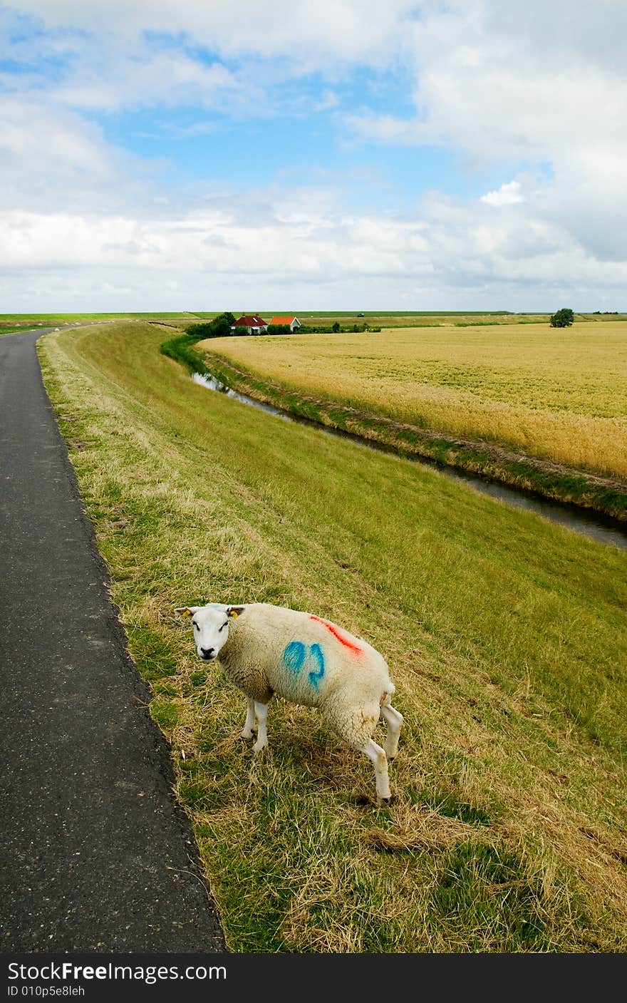 Typical dutch scene