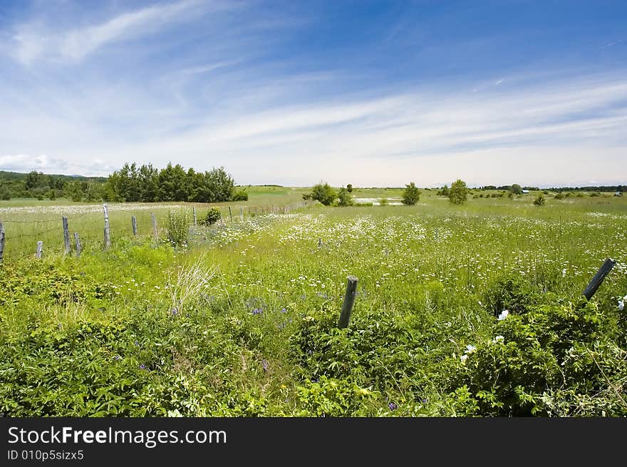 Country side