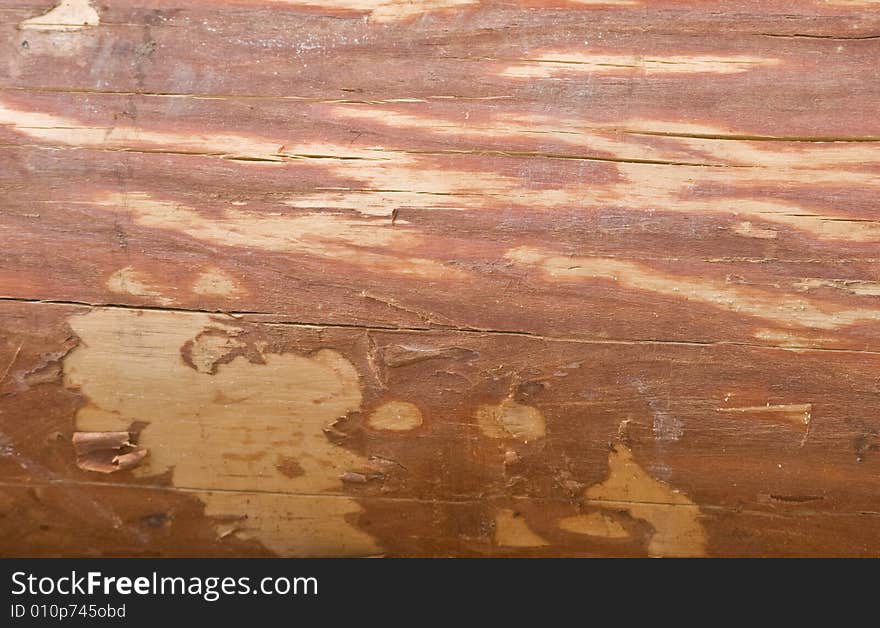 Wood Log Texture