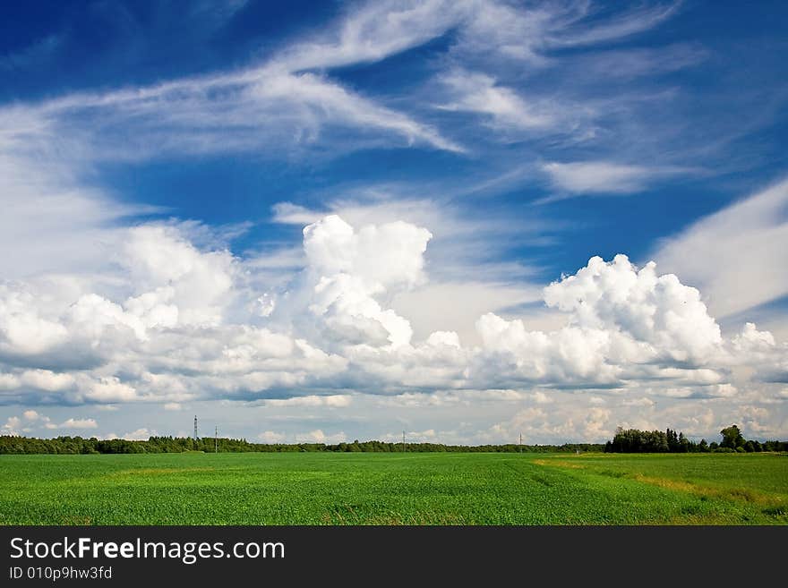 A green meadow and a blue sky with clouds.