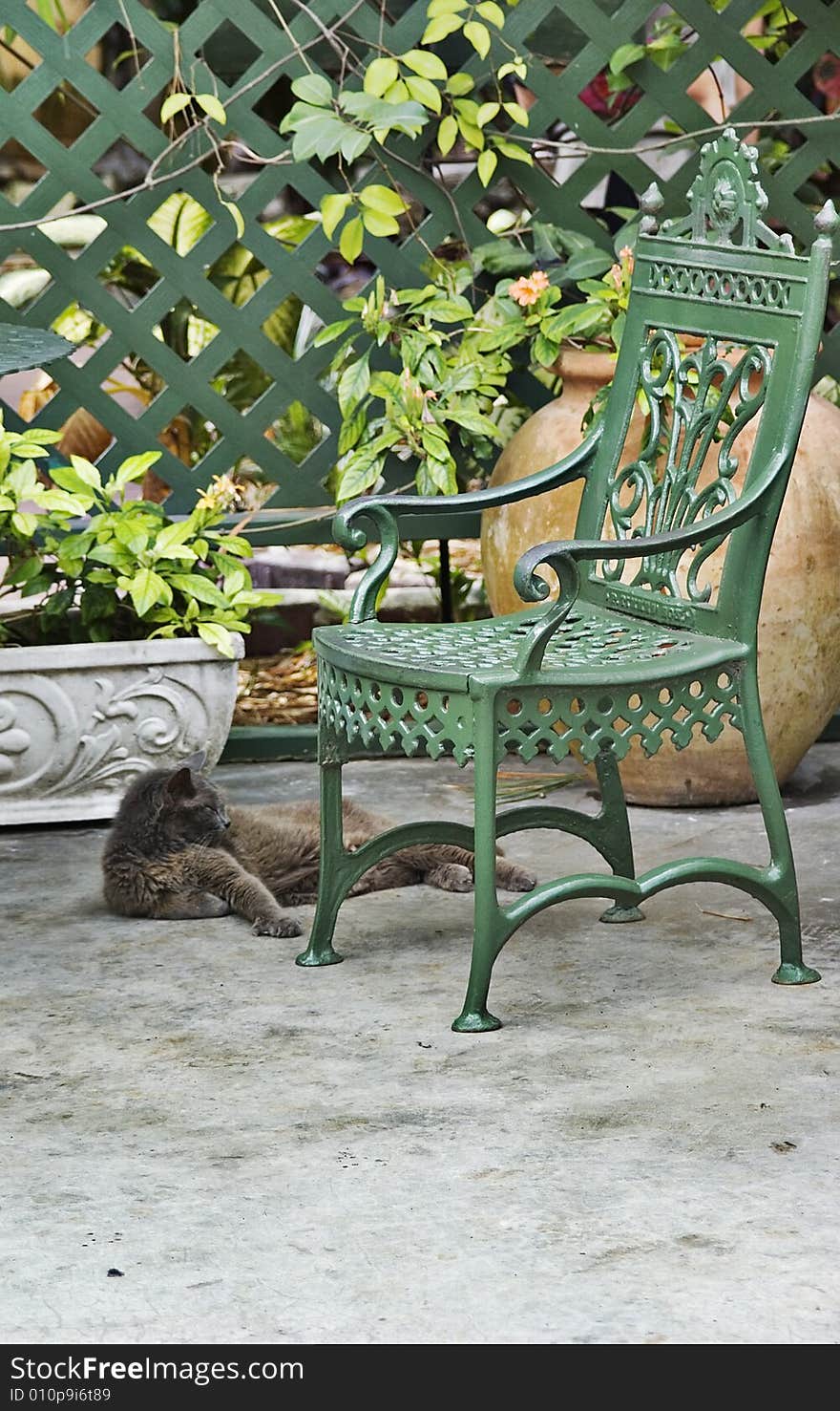 This is an image of a cat lying next to a green chair. This is an image of a cat lying next to a green chair