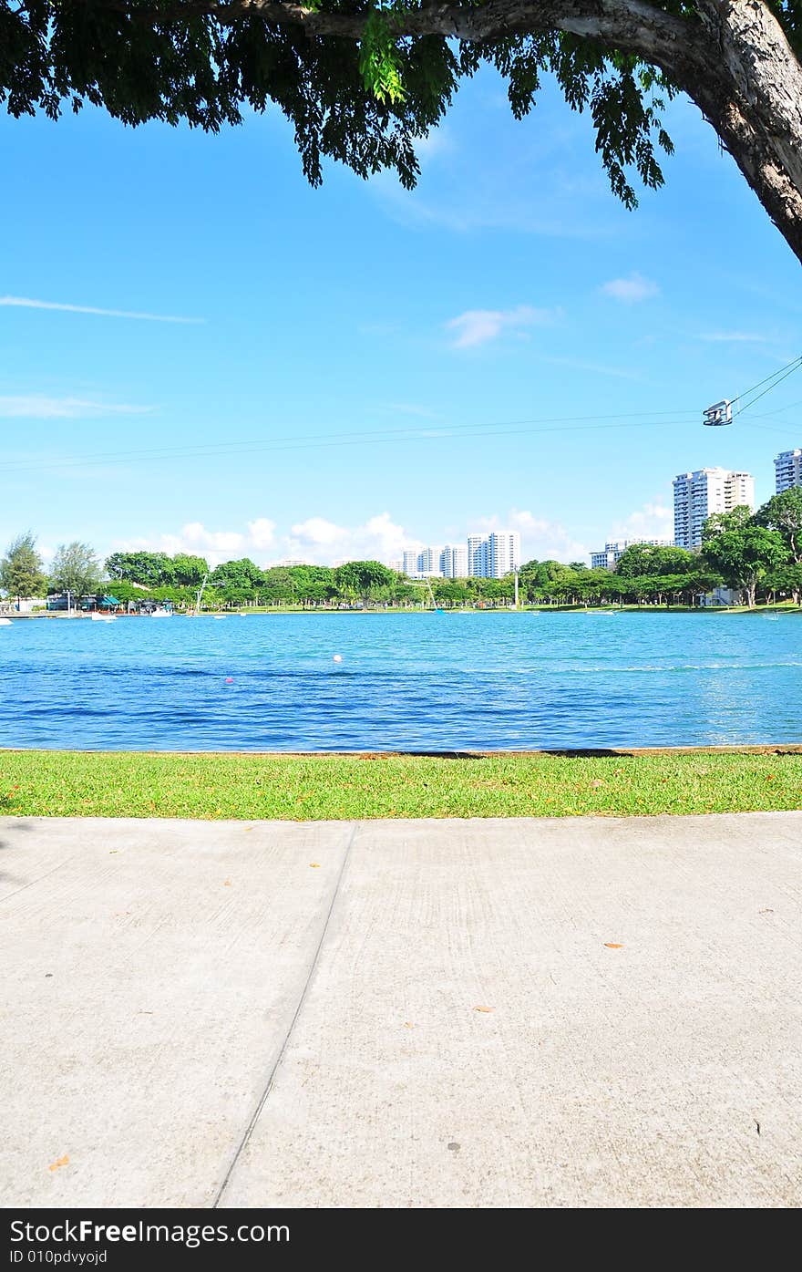 View of a Park with extra ordinary blue sky. Suitable for environmental context or illustrating peaceful, green environment, urban planning. View of a Park with extra ordinary blue sky. Suitable for environmental context or illustrating peaceful, green environment, urban planning