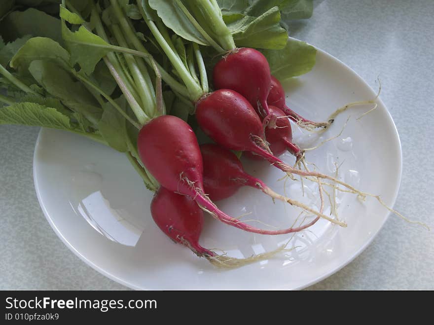 Fresh garden radishes on white plate