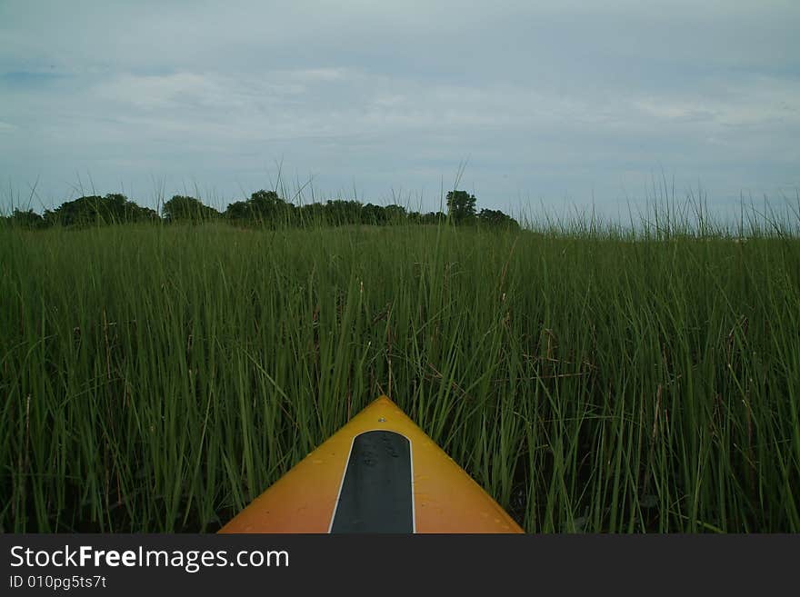 Front of kayak facing immediate reeds