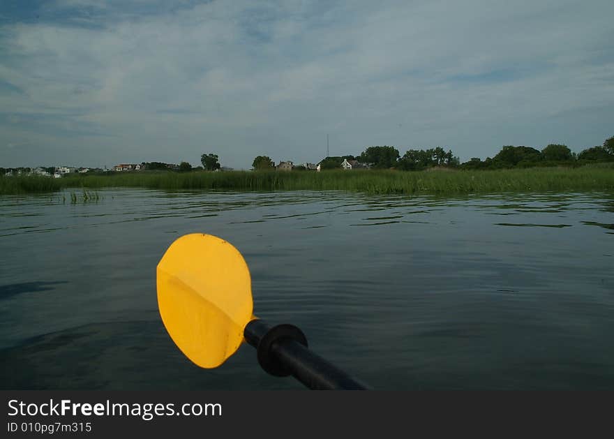 Front of kayak facing immediate reeds