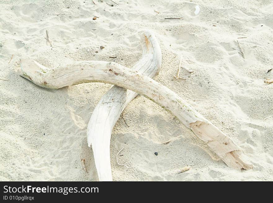 X formed by branches of driftwood on sand. X formed by branches of driftwood on sand