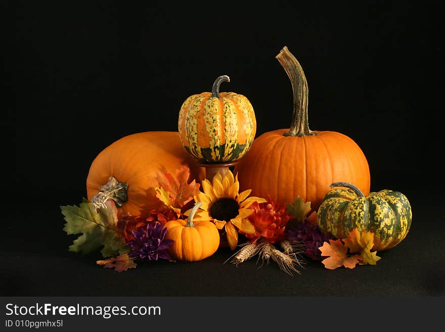 An autumn display of pumpkins, gourds indian corn and flowers with room for copy. An autumn display of pumpkins, gourds indian corn and flowers with room for copy.