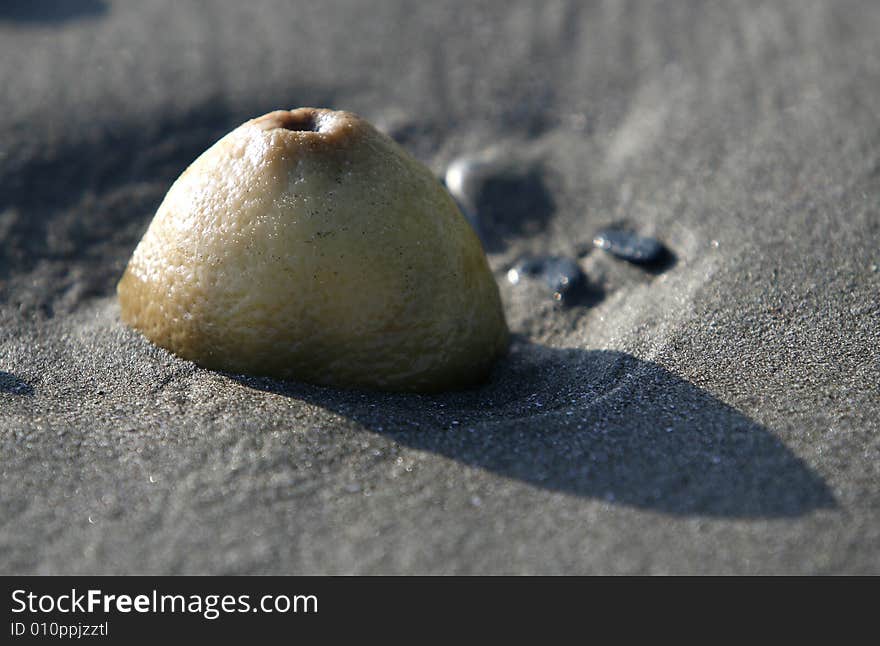 Environmental pollution - lemon , dirt in a beach