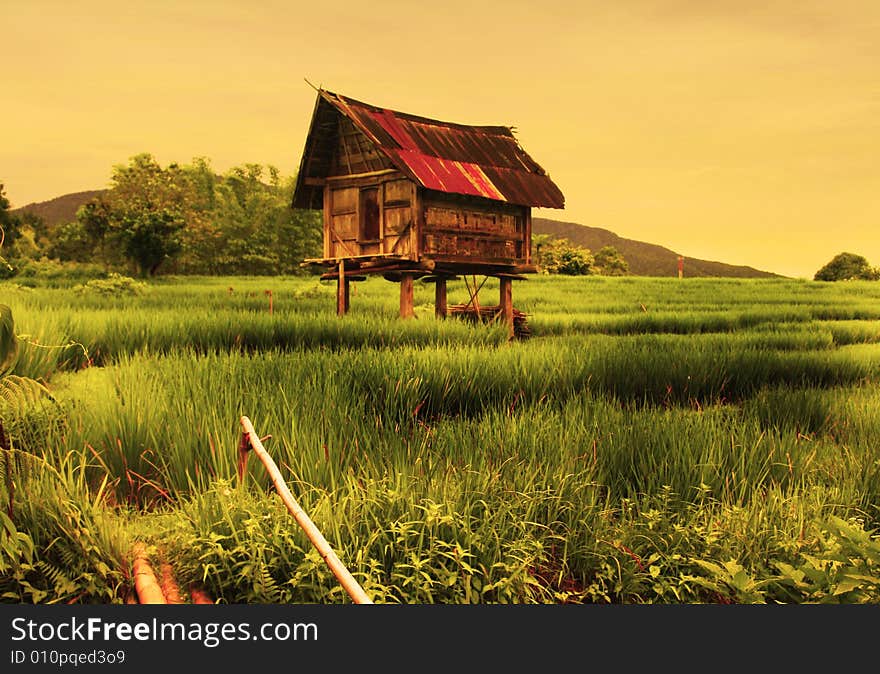 This rural House at Field. This rural House at Field