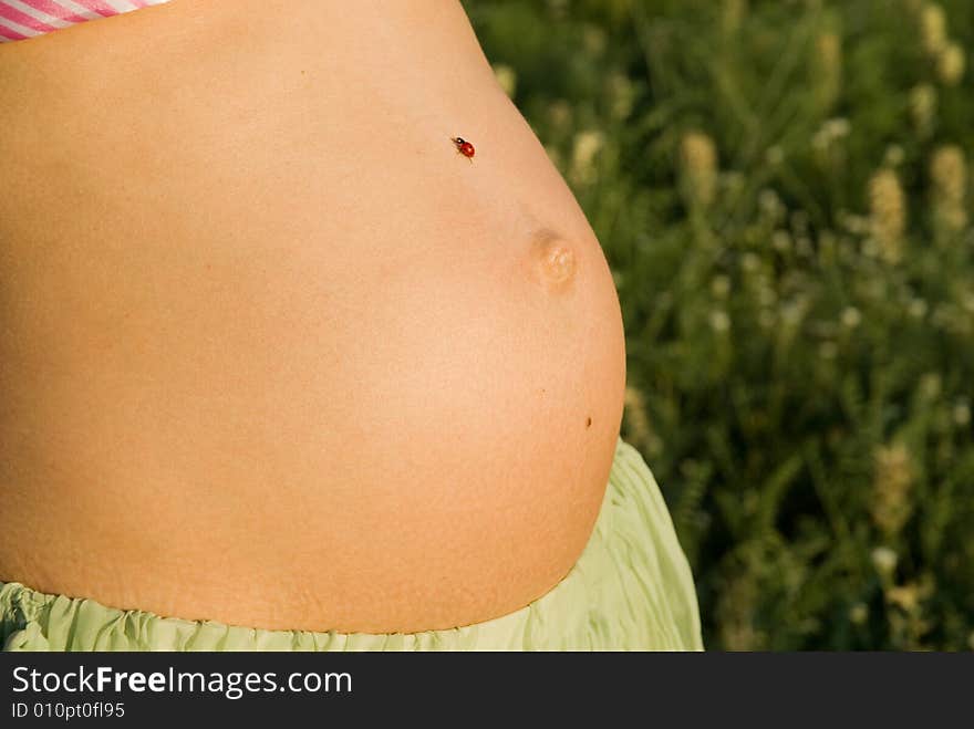 Ladybird sitting on a belly of seventh month pregnant woman