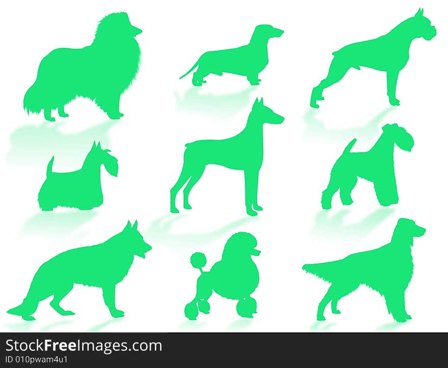 Dogs breeds silhouette