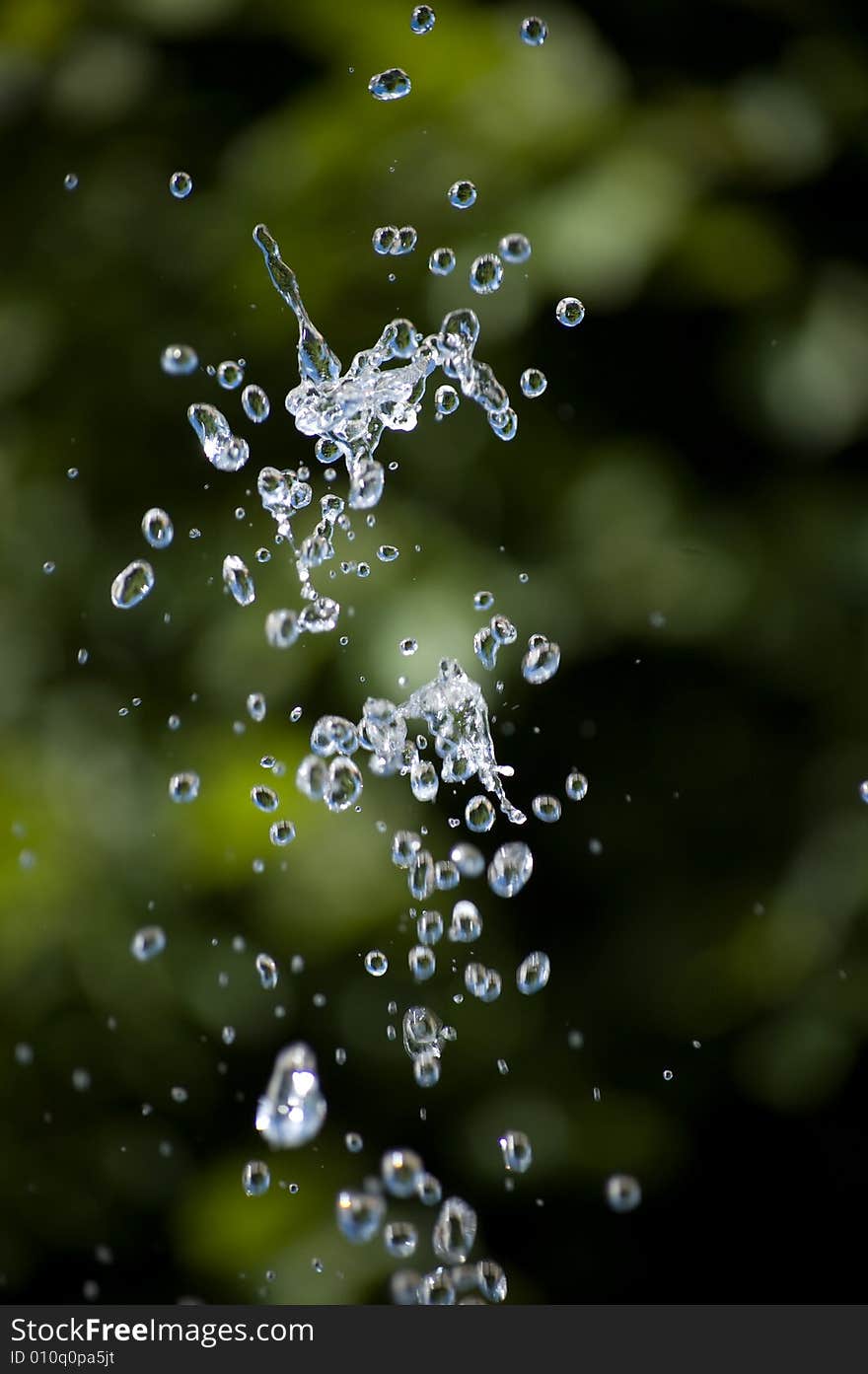 Fresh drops on green background