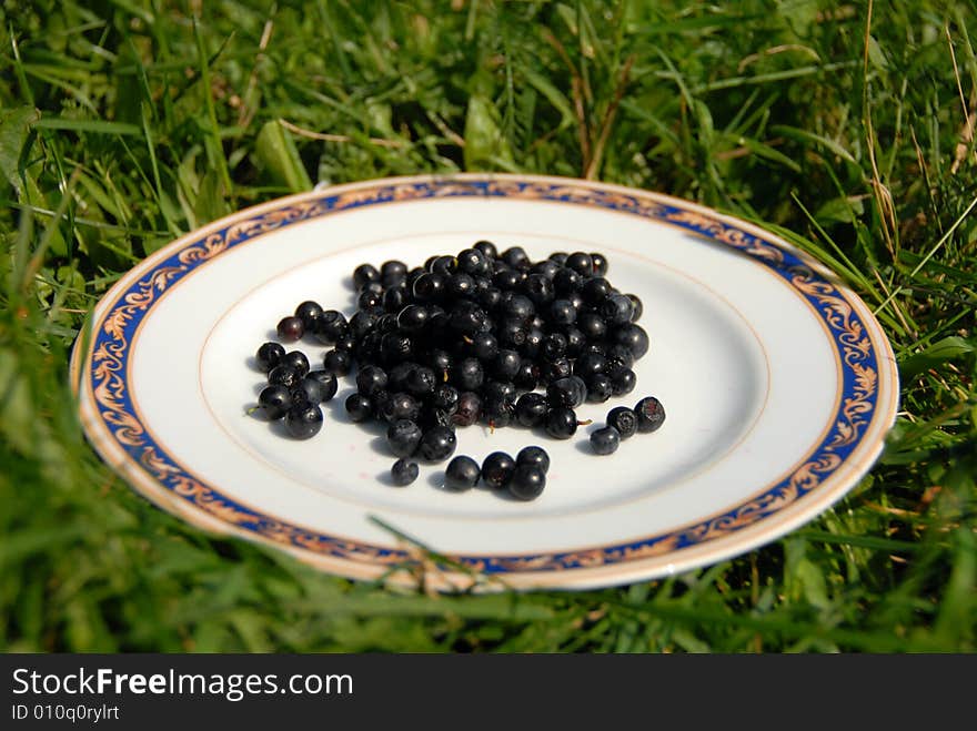 Berry on the plate on the background of grass