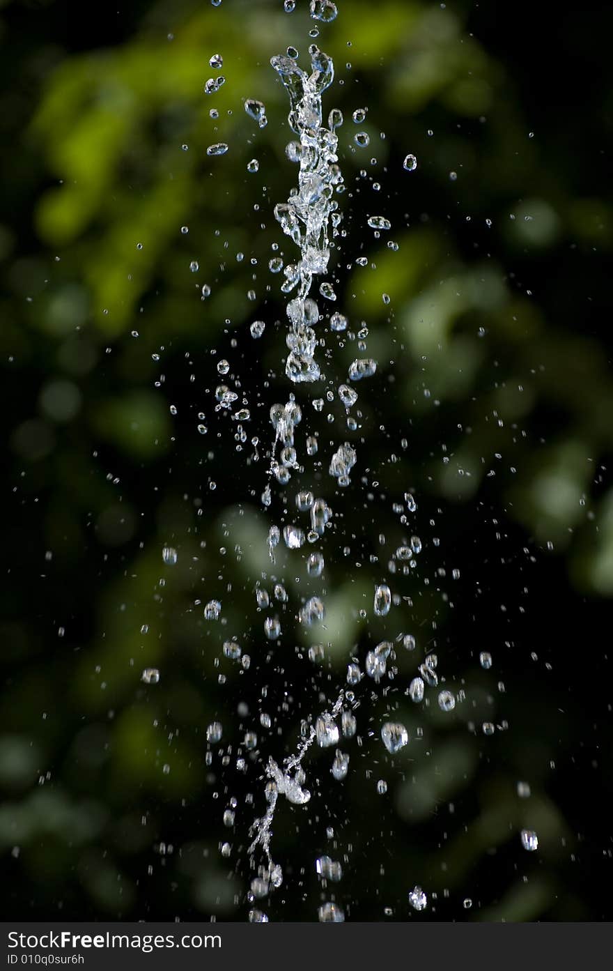 Fresh drops on green background