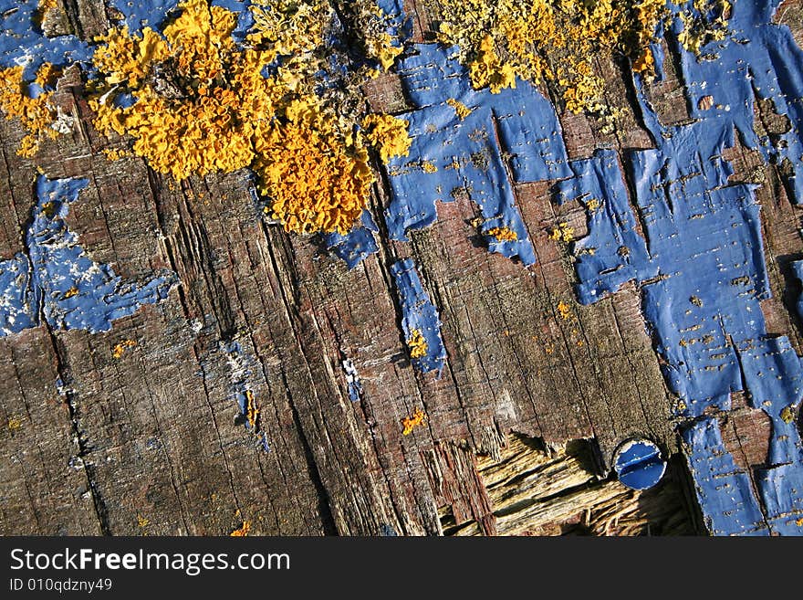 Painted wood in marine environment gradually being eroded by the elements. Painted wood in marine environment gradually being eroded by the elements.