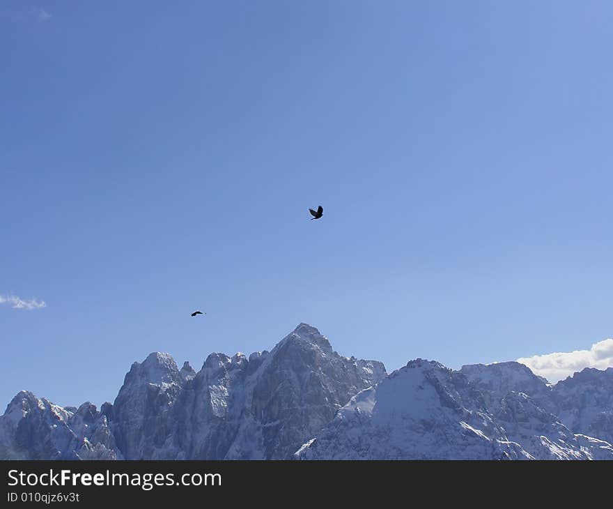 Alpine landscape scenery in winter, black birds flying high above beautiful alpine peaks. Alpine landscape scenery in winter, black birds flying high above beautiful alpine peaks