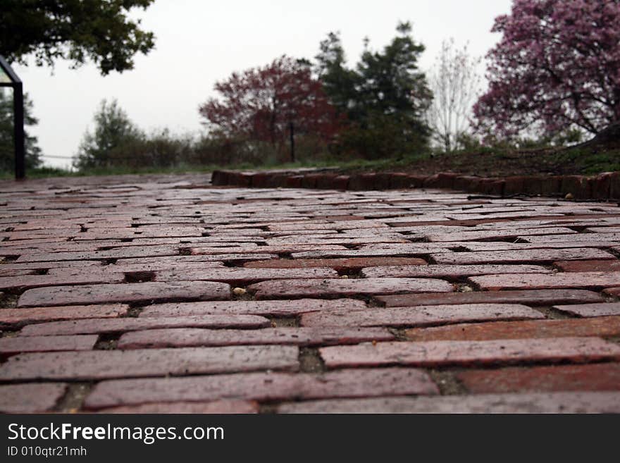 An old red brick walkway leading up to some flowering trees.