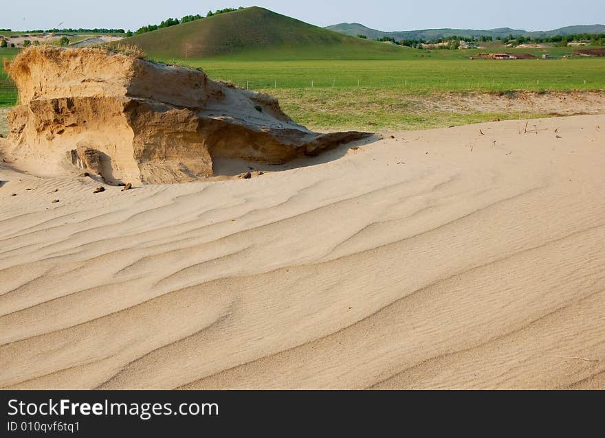 Desert and grassland