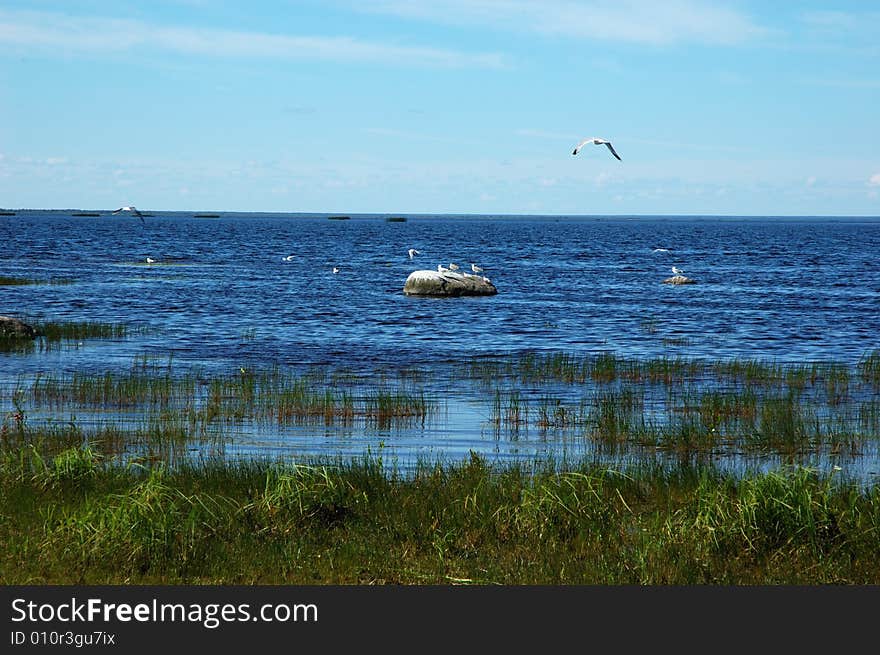 View of the lake Lache in north Russia