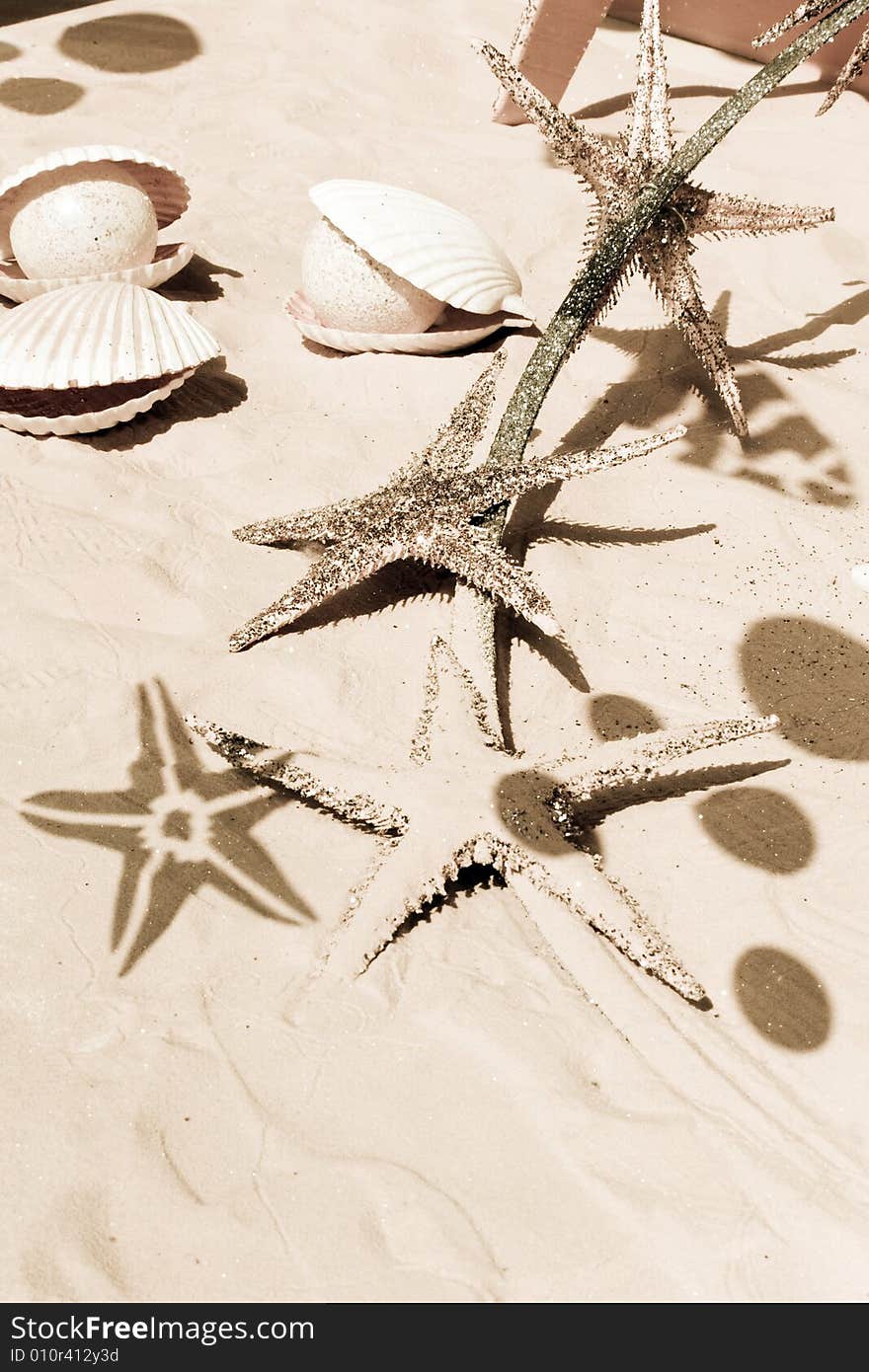 Sparkling starfishes, shells and marine animal shadows on the sand. Sepia tone. Vacation and sea concept. Sparkling starfishes, shells and marine animal shadows on the sand. Sepia tone. Vacation and sea concept.