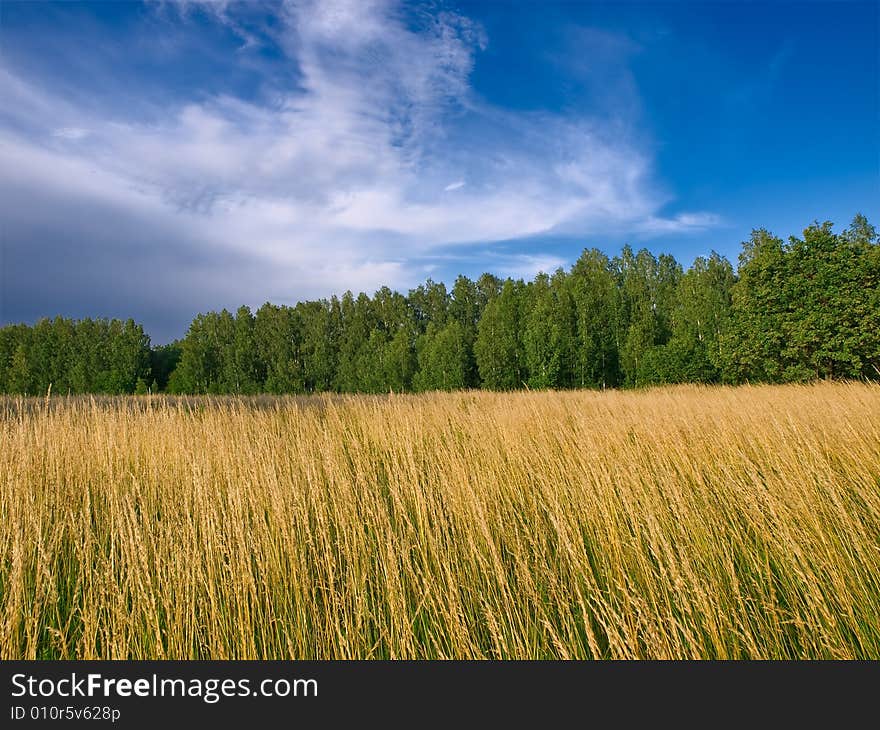 Summer landscape with meadows and blue sky with clouds. Summer landscape with meadows and blue sky with clouds