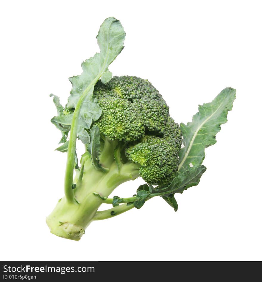 Broccoli On White