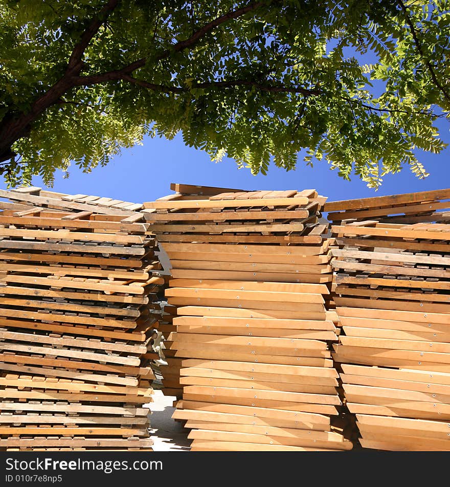 Piles of stacked chairs under a tree