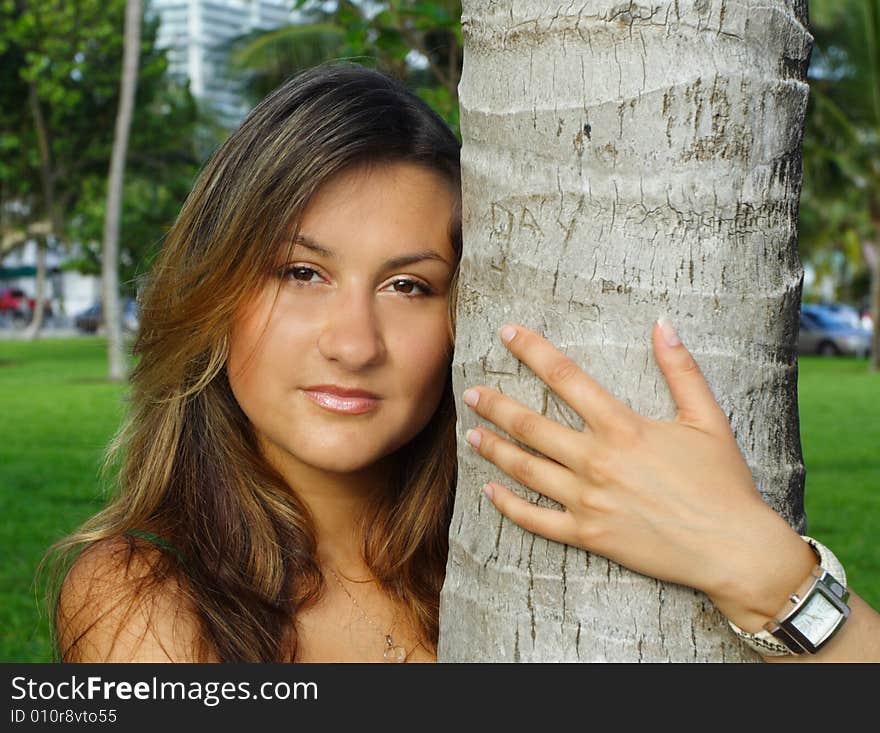 Young female hugging a palm tree. Young female hugging a palm tree.