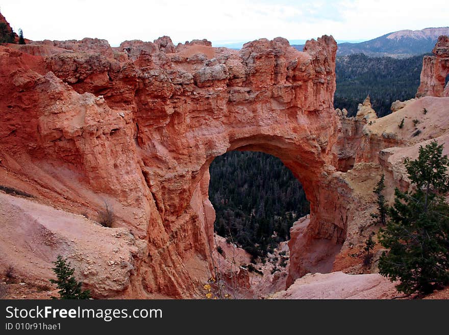 Natural Bridge