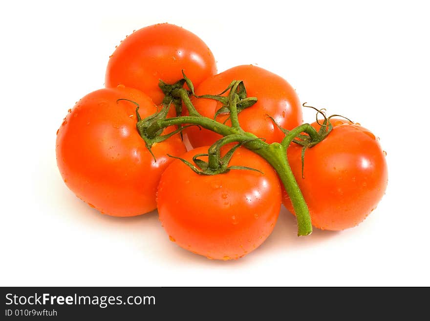 Branch with tomatoes on a white background