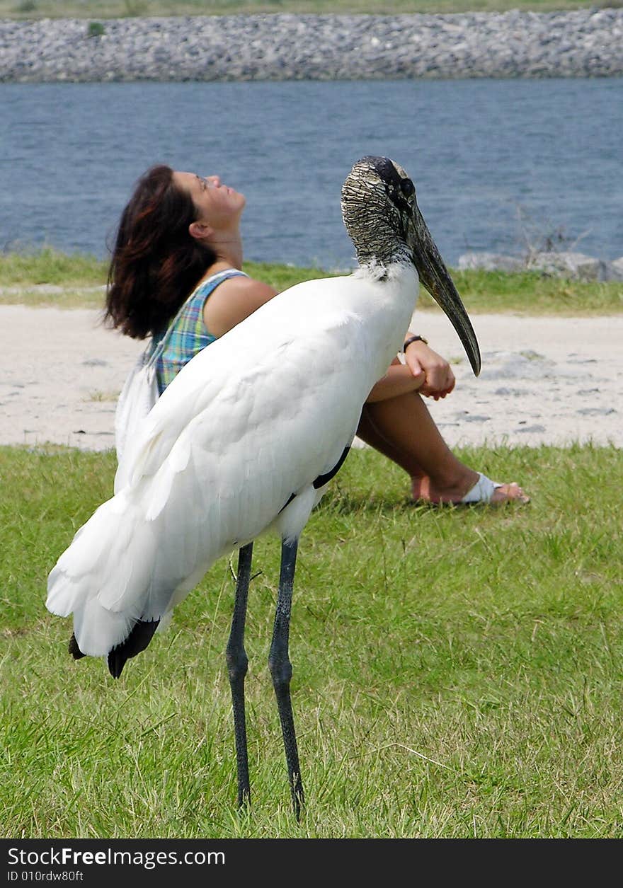 The Bird And The Girl