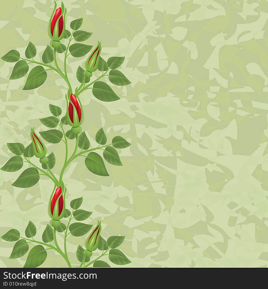 Green background with   roses