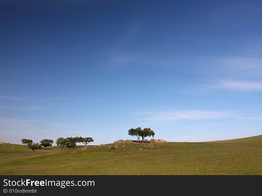 Spring time landscape; picture taken in the Portuguese countryside. Spring time landscape; picture taken in the Portuguese countryside.