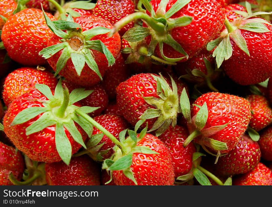 Strawberries from agricultural marketplace. Shooting in windows lighting. Strawberries from agricultural marketplace. Shooting in windows lighting.