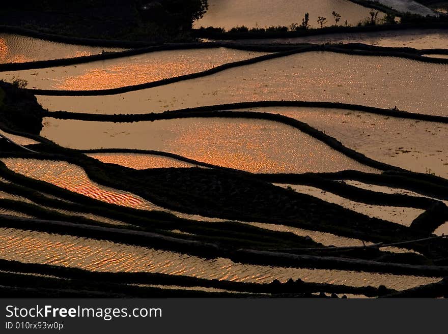 Terraced field in Yunyang, Yunnan provice of China.