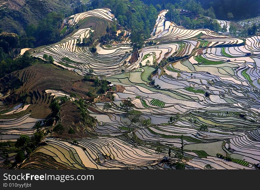 Terraced field in Yunyang, Yunnan provice of China.