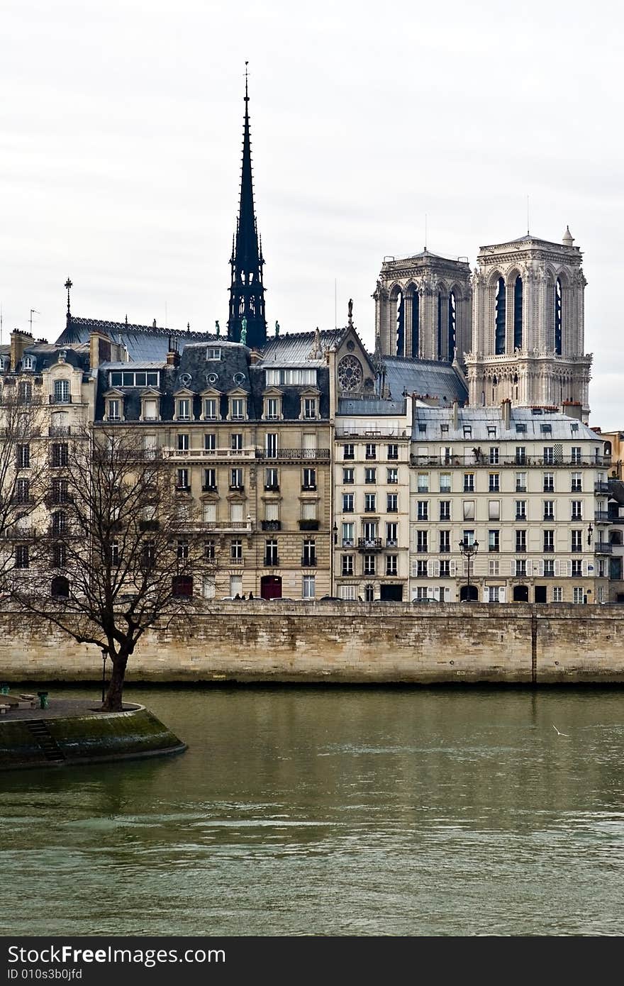 Sight on Notre-Dame from other coast