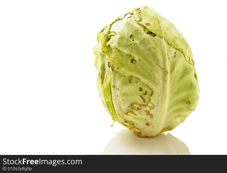 Cabbage