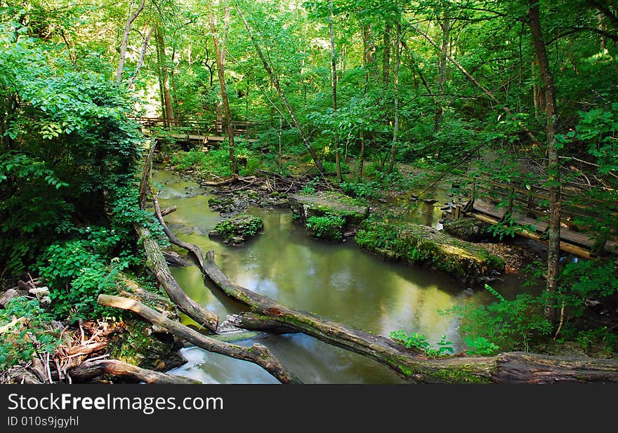 This is a shot of a creek. This particular part opens up and the water is slowed down. There are some fallen trees and other interesting objects in the shot, including a small bridge on the right.