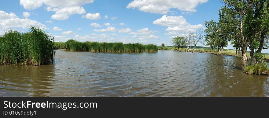 Cane On Lake