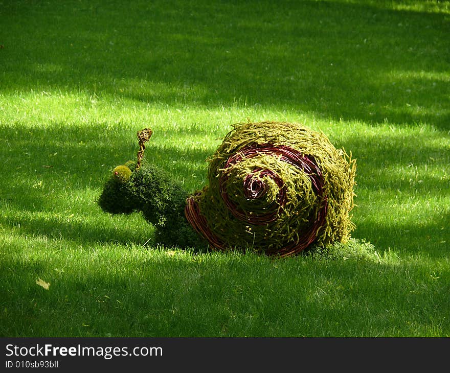 Green snail near grass with ray