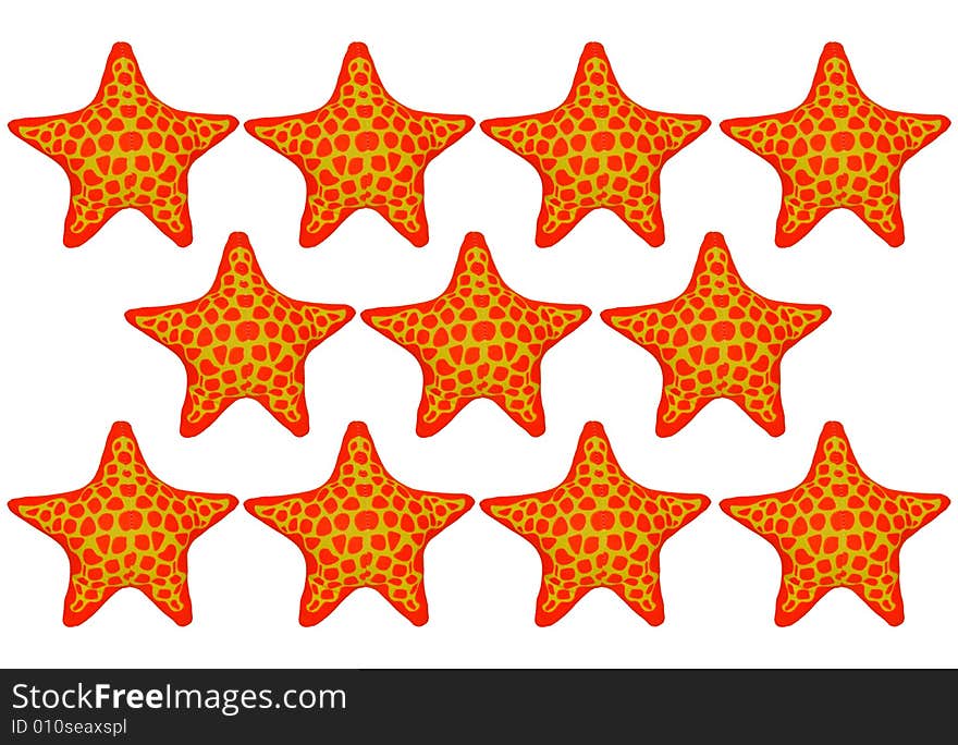 Group Of Starfish Toys