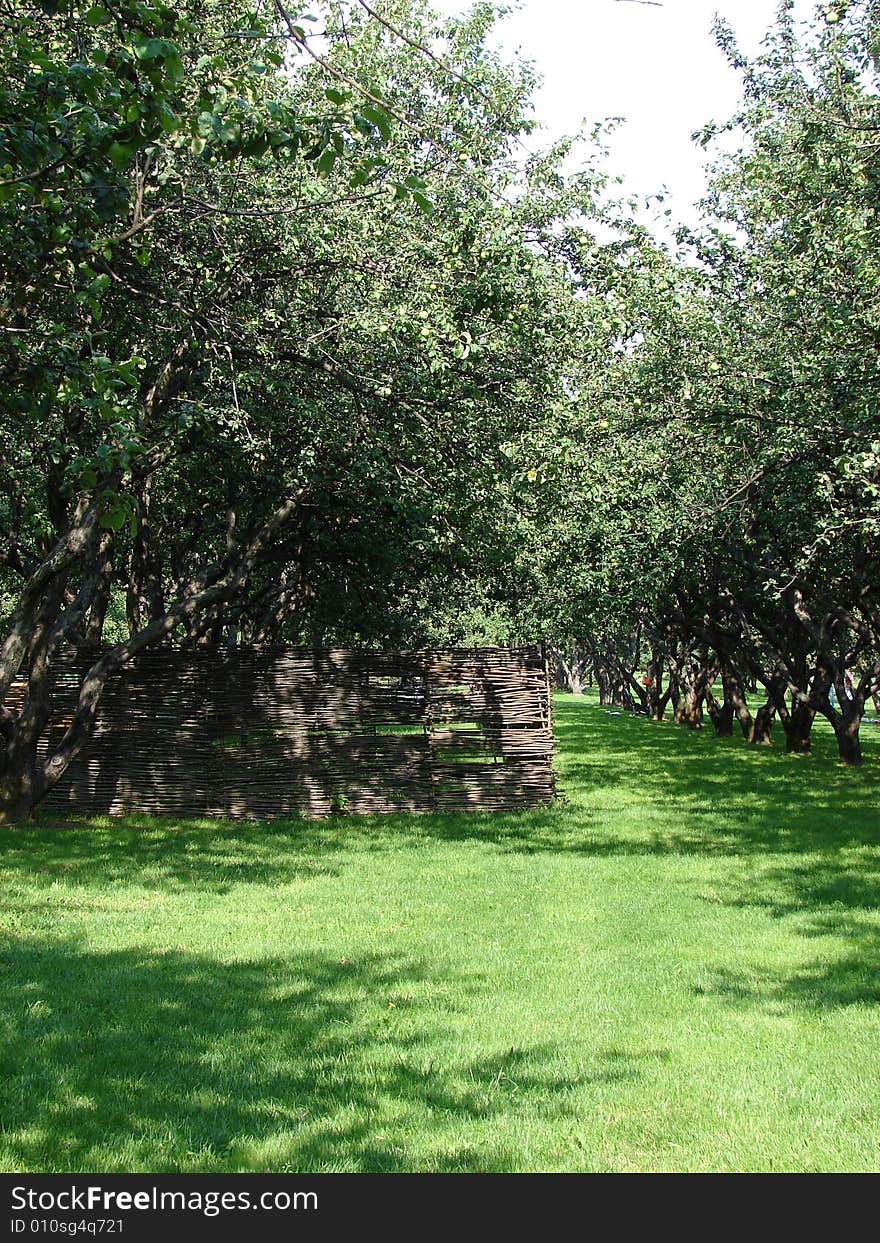 The Big Apple Garden