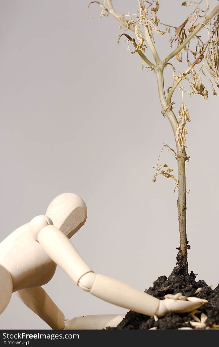 Wooden man plant tree in the garden