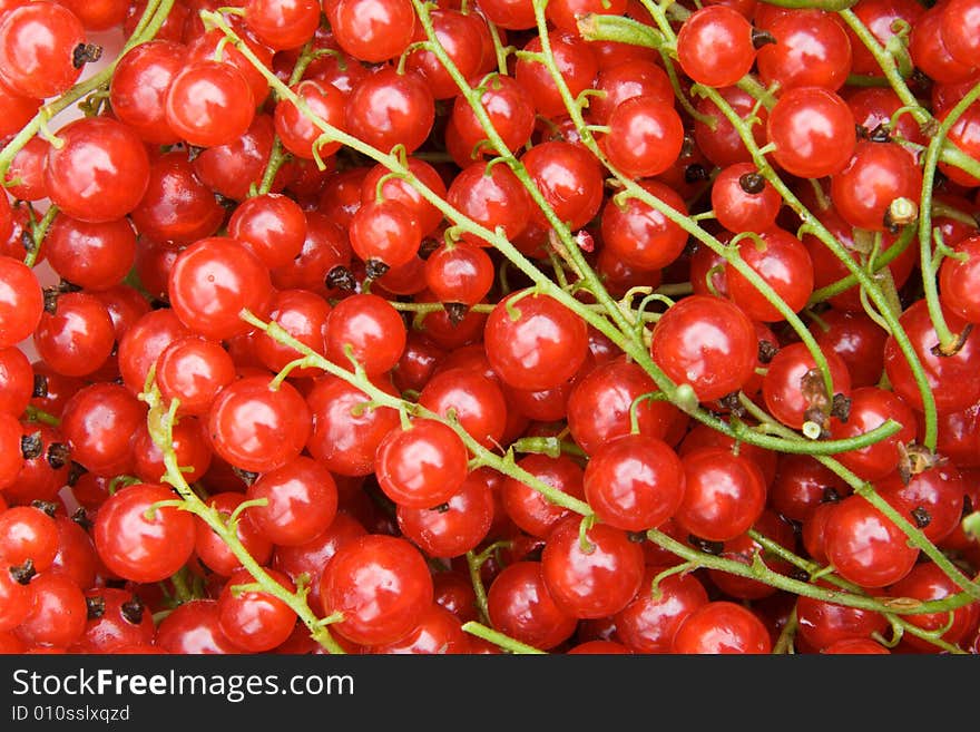 Red currants background