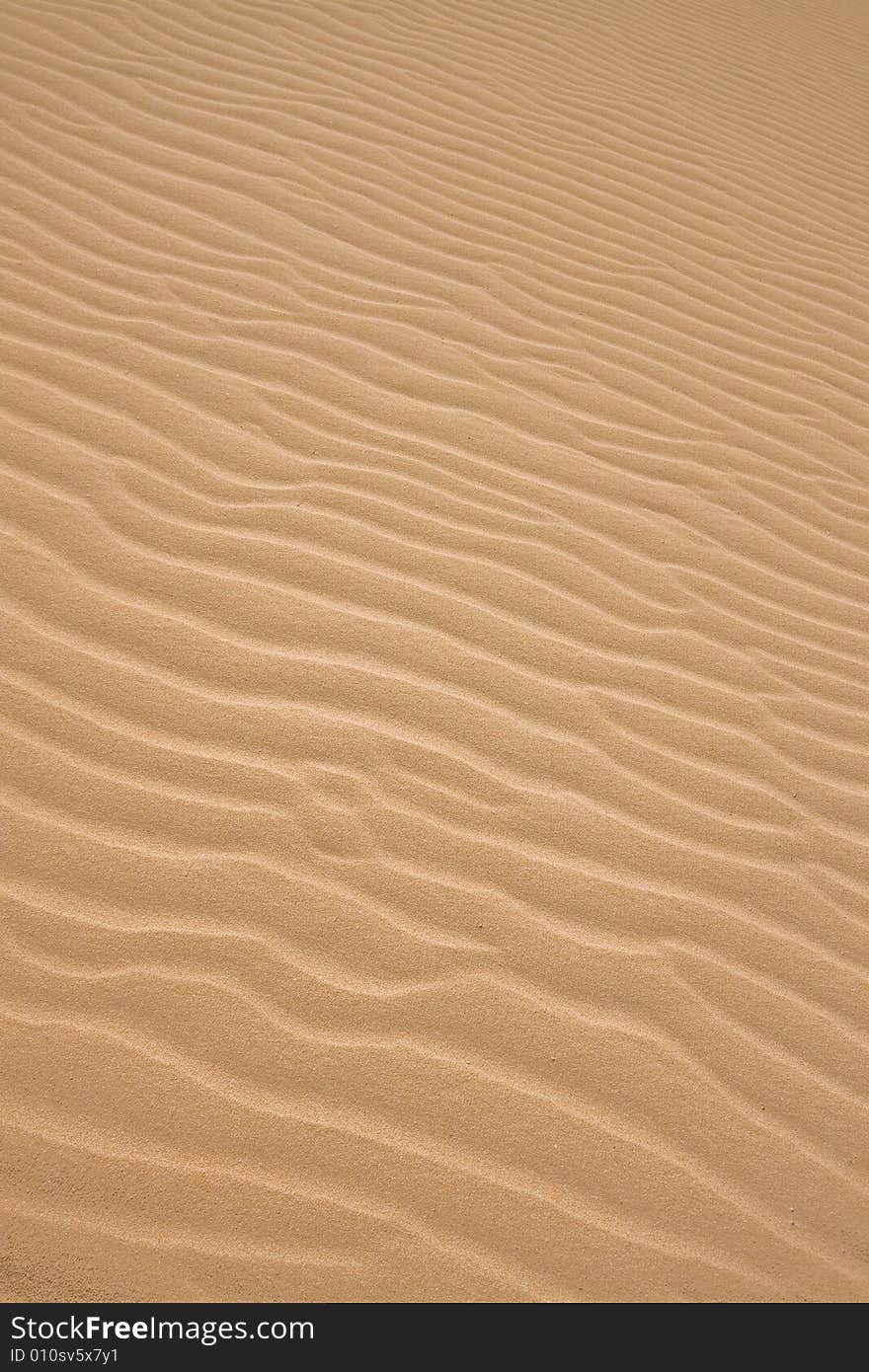 Ripples in the yellow sand. Ripples in the yellow sand.